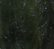 Big Game Dubbing - CLYDE Blue Moss - Fly tying streamer dubbing