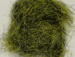 Frog Dubbing - Bull  Frog Color Fly Tyers Dungeon