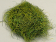 Frog Dubbing - Leopard  Frog Color Fly Tyers Dungeon