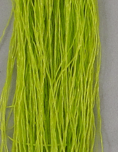 Medium Bug Legs  Fly Tying Material Chartreuse
