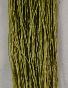 Medium Bug Legs  Fly Tying Material Olive