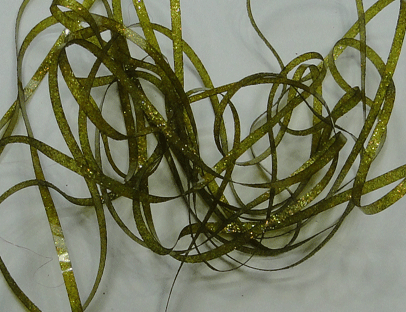 SP Pearsl Bug Back Fly Tying Material Nymph Back Material Olive